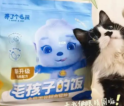 ！三只松鼠靠什么重返宠物食品赛道麻将胡了2零食巨头盯上毛孩子口粮(图2)