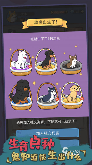 几个 2025经典的小狗手游怎么麻将胡了游戏热门的小狗游戏有哪(图4)