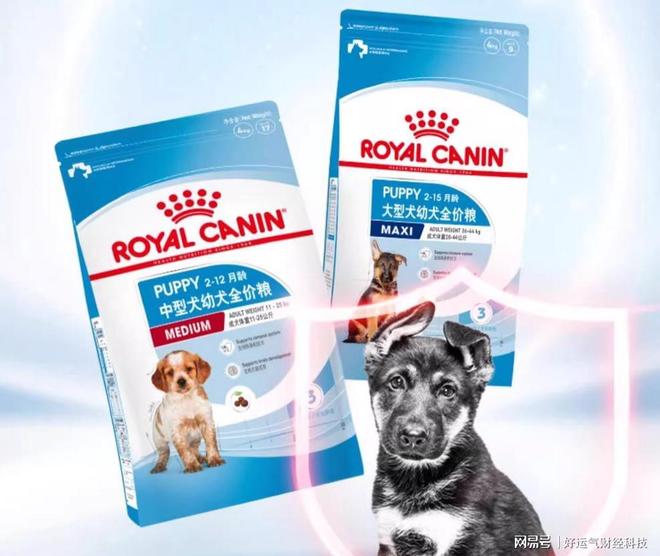 吃什么狗粮？优质狗粮前十排行榜PG麻将胡了网站入口中华田园犬(图1)