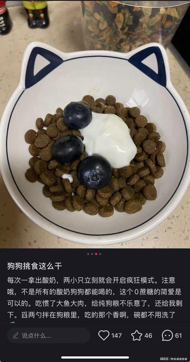 ”撬动萌宠经济与母婴信任双赛道麻将胡了简爱酸奶以“纯净配方(图2)