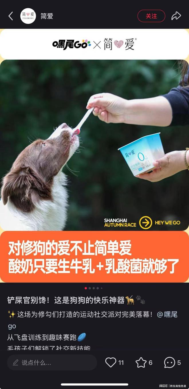”撬动萌宠经济与母婴信任双赛道麻将胡了简爱酸奶以“纯净配方