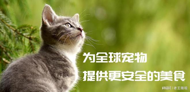 心品质引领宠物食品新风尚麻将胡了试玩汉欧宠物：匠(图2)